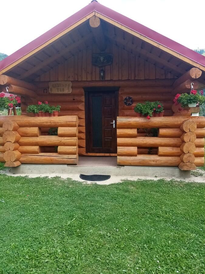 Гостевой дом Casa Prundari Nicu și Mirela Poiana Teiului-6